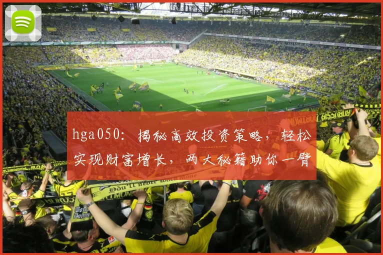 hga050：揭秘高效投资策略，轻松实现财富增长，两大秘籍助你一臂之力